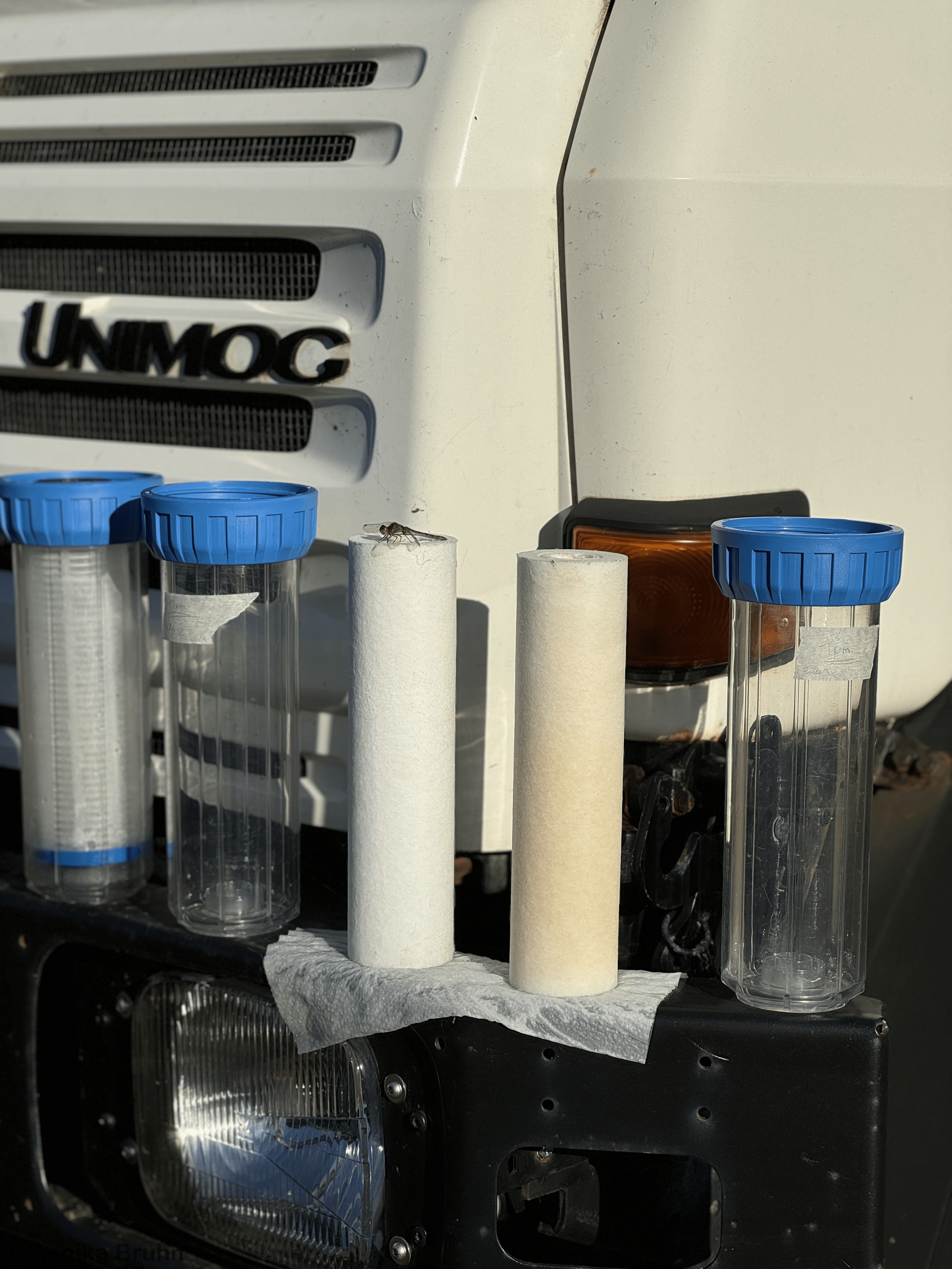 Filter trocknen mit Besuch einer Libelle